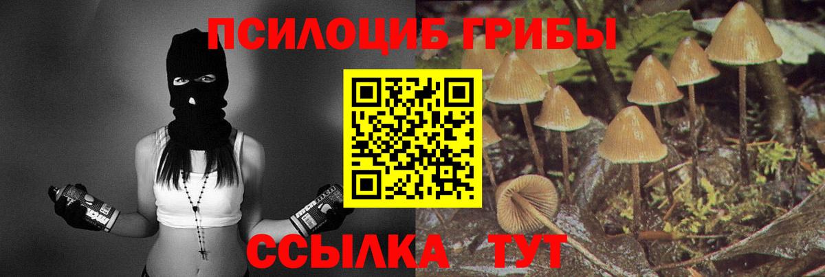 Галлюциногенные грибы MAGIC MUSHROOMS Ханты-Мансийск